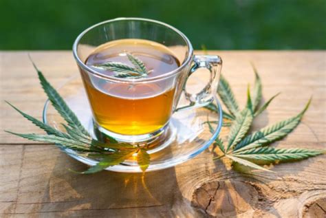 How to Make Cannabis Tea - HEALTH GIST