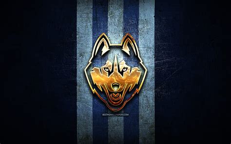 UConn Huskies, golden logo, NCAA, blue metal background, american football club, HD wallpaper ...