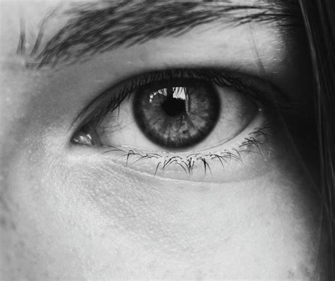 An Person Eye With Eyelashes · Free Stock Photo