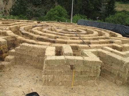 Half Moon Bay Pumpkin Patch Corn Maze - news-coffee’s blog