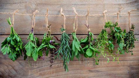 How to Dry Herbs