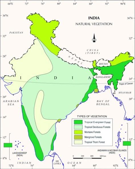 Mangrove forest in India map - Map of mangrove forest in India (Southern Asia - Asia)