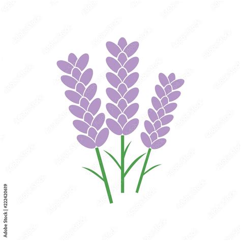 Lavender flower icon, Logo design Stock Illustration | Adobe Stock