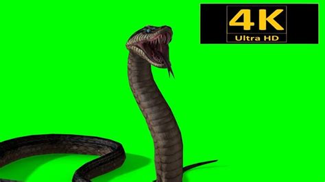 Screen snake desktop overlay - powenipad