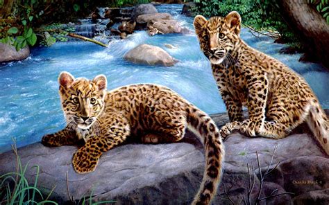 Leopard Cubs wallpaper | animals | Wallpaper Better