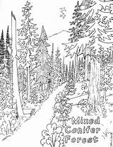 Forest Coloring Pages Printable sketch template