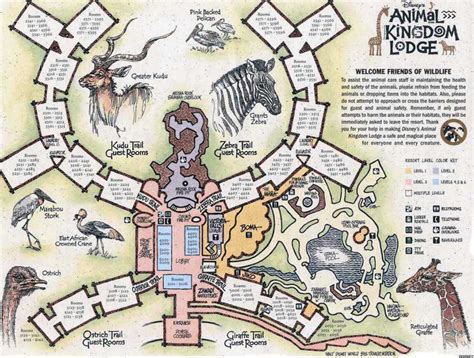 Disney's Animal Kingdom Lodge Map