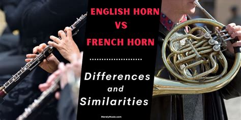 English Horn vs French Horn, Difference and Similarities Explained