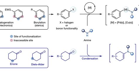 Aniline synthesis turns to photochemistry to access challenging targets | Research | Chemistry World