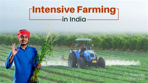 What is Intensive Farming and their Benefits in India