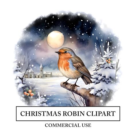 Christmas Robin Clipart 10 High Quality Jpgs Winter Animal Scene ...