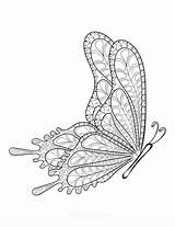 Free Butterfly Coloring Pages For Kids & Adults sketch template