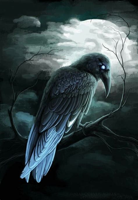 Raven And Wolf, Quoth The Raven, Raven Bird, Crow Art, Bird Art, Beautiful Dark Art, Beautiful ...