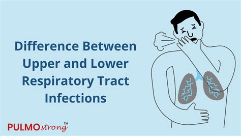 Difference Between Upper and Lower Respiratory Tract Infections – Chereso Health