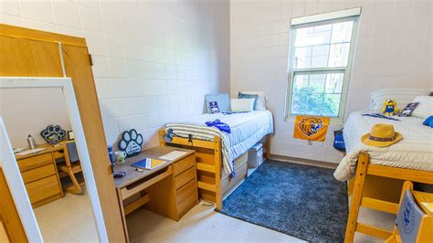 Update more than 64 easy dorm decorating ideas - seven.edu.vn