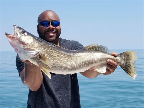 Lake Erie Fishing: The Complete Guide (Updated 2023)