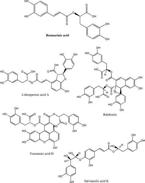 The chemical structures of rosmarinic acid and some of its derivatives | Download Scientific Diagram