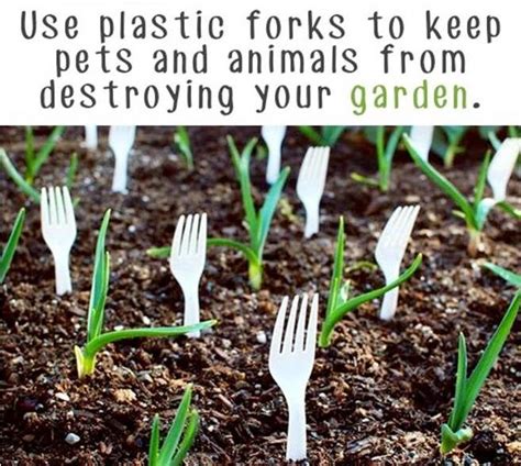 12 Innovative Gardening Ideas You've Never Thought About - Top Dreamer