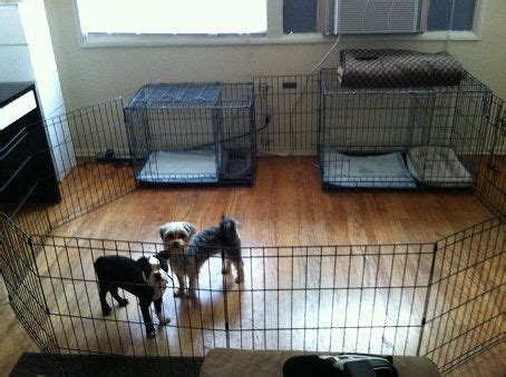 Hanging Dog Crate Bowl For The Potty Training Puppy Apartment Kennel ...