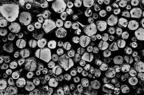 Free Images : branch, black and white, wood, texture, leaf, pile, pattern, line, stack, lumber ...