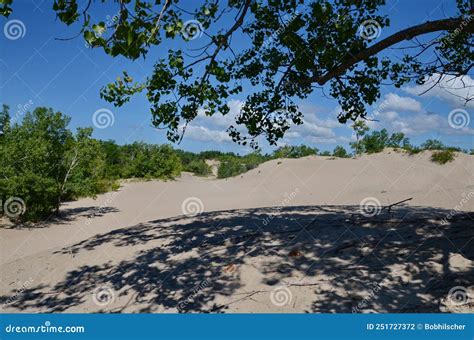 Dunes Beach Sand Dunes at Sandbanks Provincial Park Stock Photo - Image ...