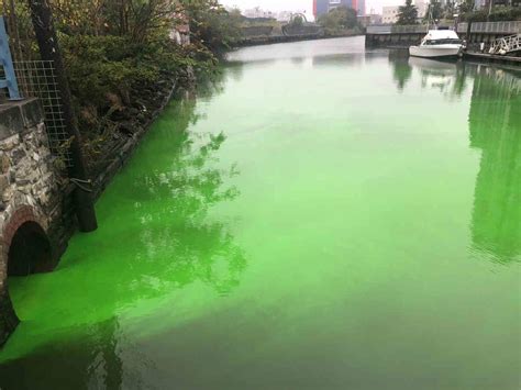 Dye turns Gowanus Canal emerald green • Brooklyn Paper