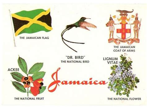 National Symbols of Jamaica - The Jamaican Symbols and Emblems ...