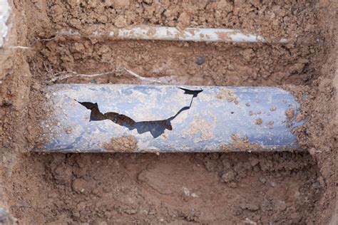 What Are the Signs of a Broken Sewer Pipe? | Anytime Plumbing