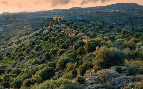 The state of Mediterranean forests: How can we improve? | Resilient Forest