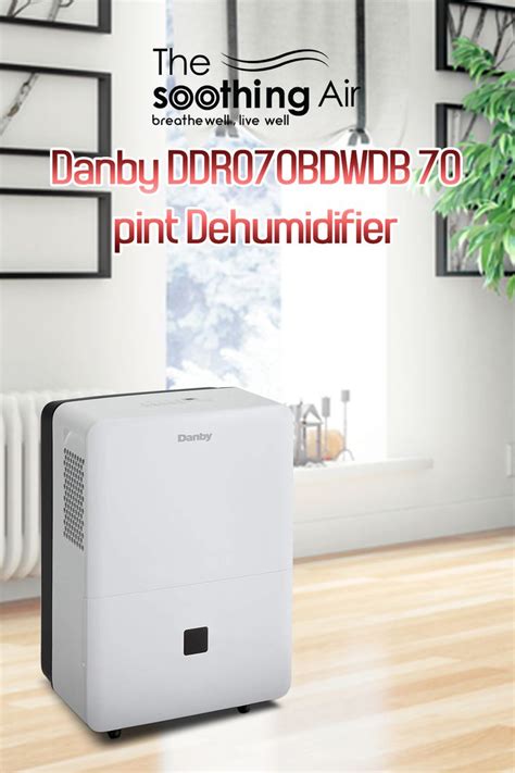 Top 10 Basement Dehumidifiers (April 2020): Reviews & Buyers Guide ...