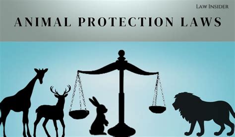 Amendment in Animal Protection Laws - Need of the Hour - LAW INSIDER ...