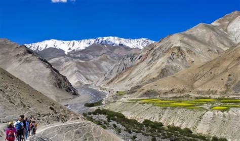 Ladakh Trekking