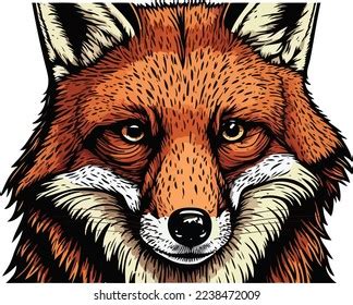 Red Fox Face Close Portrait Illustration Stock Vector (Royalty Free) 2238472009 | Shutterstock