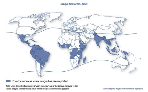 1: Dengue risk map for year 2009 | Download Scientific Diagram