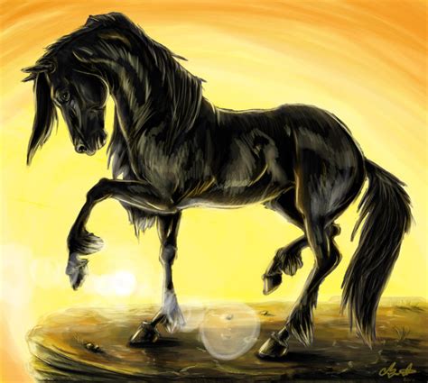 Black Stallion by AoiKita on DeviantArt