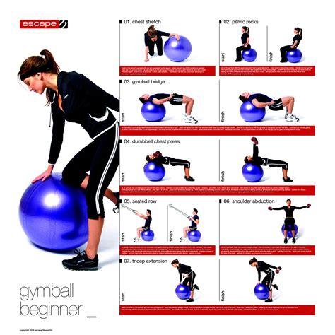 Stability Ball Progression Posters (Set of 3) | Escape Fitness | Ball exercises, Beginner ...