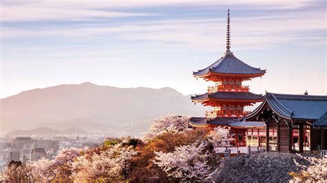 Sakura Guide: 10 Best Places To See Cherry Blossoms in Kyoto | byFood