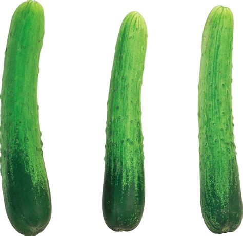 Cucumber PNG Image - PurePNG | Free transparent CC0 PNG Image Library