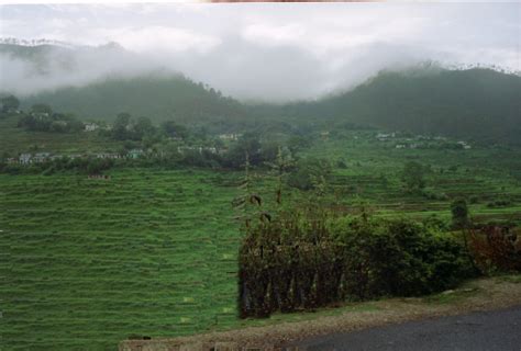 Tourist Places: Ranikhet | Ranikhet Hill Station | Ranikhet Tourism