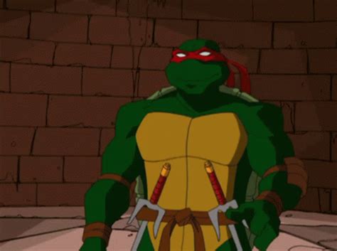 Raphael Tmnt, Raphael Ninja Turtle, Turtle Gif, Tmnt Turtles, Heart For ...