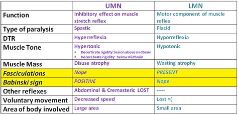 UMN & LMN LESIONS * UMN is the motoneuron that undergoes pyramidal ...