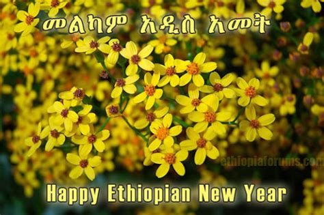 Ethiopia to celebrate New Year - Ethiosports