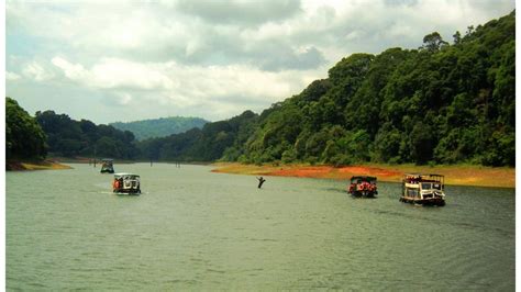 Best Things To Do In Thekkady – Iris Holidays