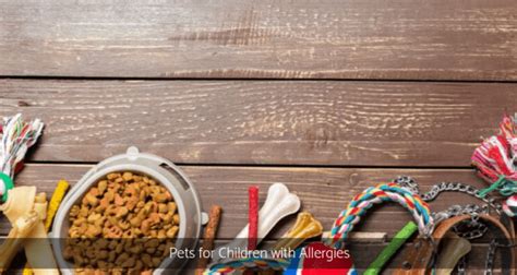 Pets for Children with Allergies