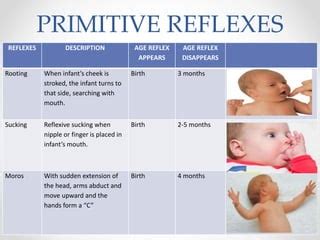 Neonatal Reflexes Chart