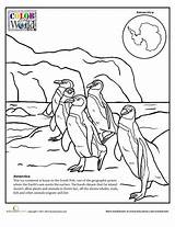 Antarctica Coloring Page sketch template
