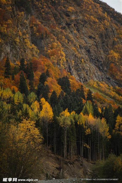 山林摄影图__自然风景_自然景观_摄影图库_昵图网