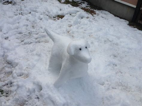 How to Make a Snow Dog Sculpture : 3 Steps - Instructables