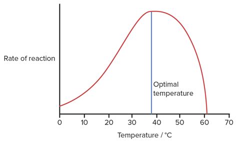 Enzyme Kinetics | Concise Medical Knowledge