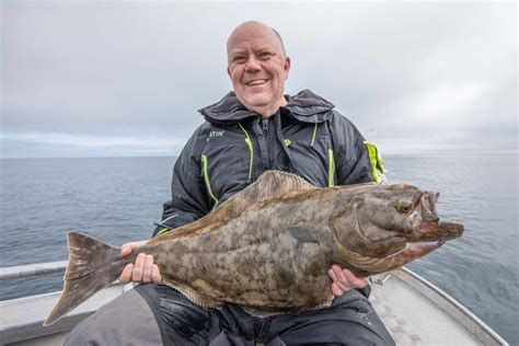 Å, Lofoten Islands Fishing Report 31st July 2023 | Sportquest Holidays